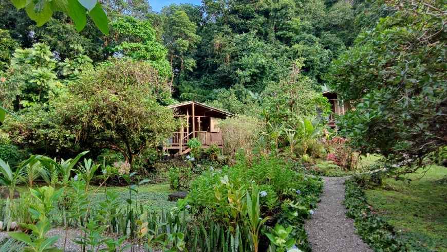 Diverse Nature, Mangata Lodge, Adventure and Rest, Nuquí, Colombia