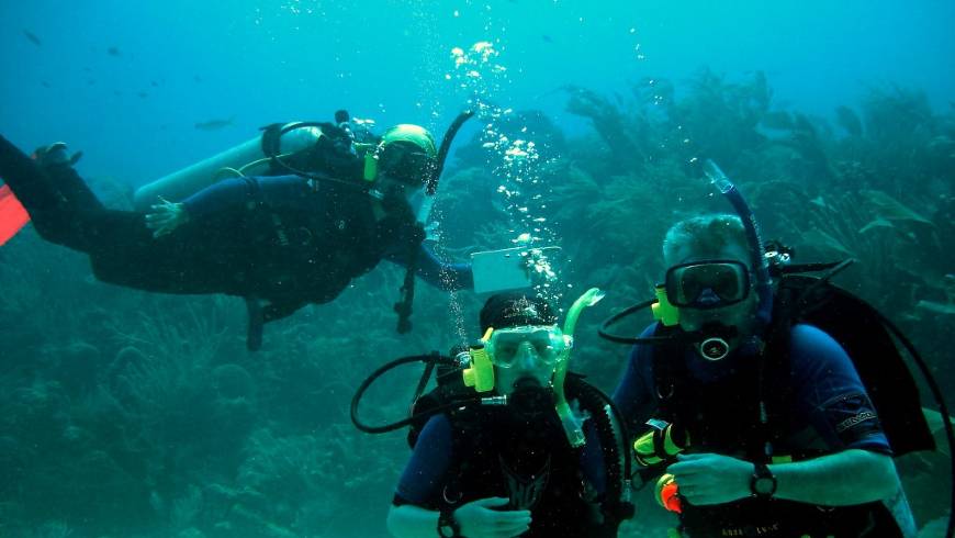 Exploración Subacuatica, Isla Fuerte Ecolodge & Diving Center, Buceo / Careteo, Mar Caribe, Colombia
