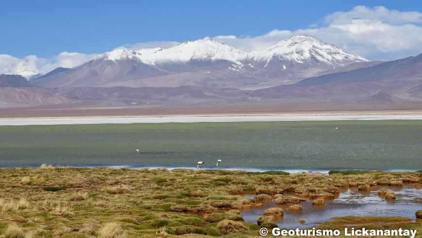 Live Atacama, Geoturismo Lickanantay, Unforgettable Landscapes, Atacama, Chile