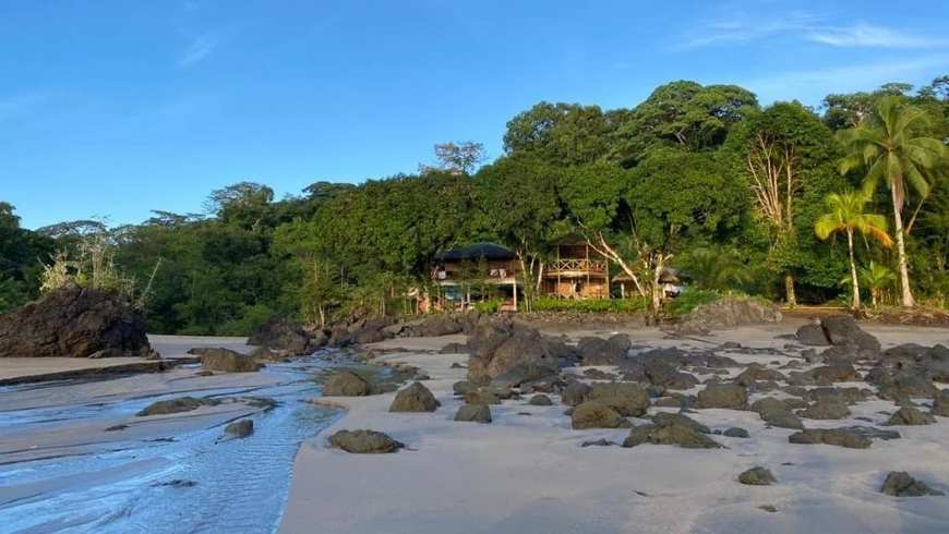 Wale mit Meer und Fluss, Mar y Rio Ecolodge, Walbeobachtung, Nuquí, Colombia
